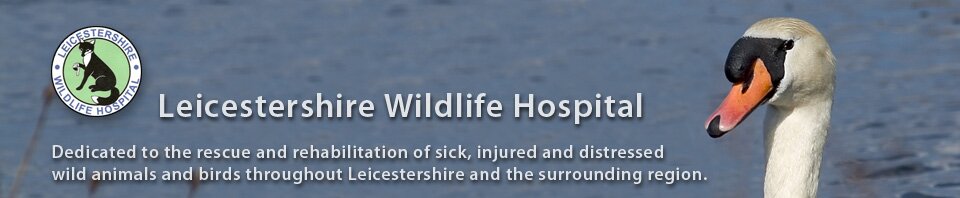 Leicestershire Wildlife Hospital